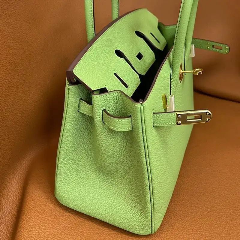 Affordable Hermes Birkin Bag Togo Leather Gold Hardware In Avocado Green 0204